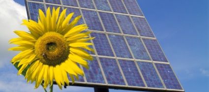 solar panel and sunflower