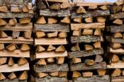wood burning effects on forests