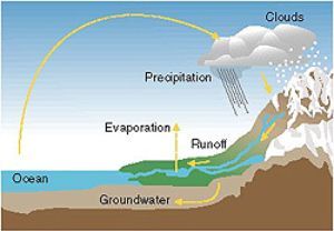 hydrologic cycle