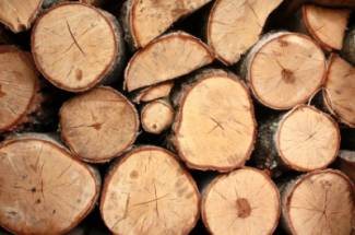 stacked wood ready for the wood stove stacked wood ready for the wood stove