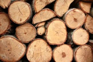 stacked wood ready for the wood stove